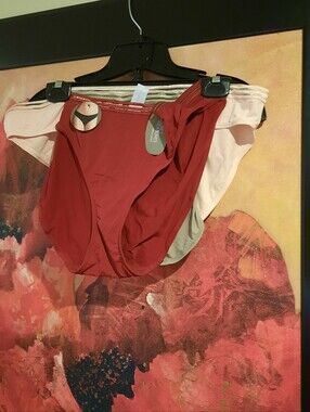 NWT 3Pack Women's Plus Size 3X Seamless Micro Bikini Panties Red Blush Gray XXXL
